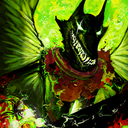 sinister-servitude-blog avatar