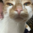 sinkboipumpkin avatar