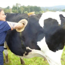 sinkinginthepee avatar