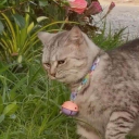 sinkinginvodkaa avatar