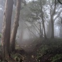 sinkyoursorrows avatar