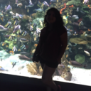 sinmuchasemantica avatar