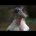 sinnerinasmalltown avatar