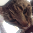 sinning-ghoul avatar