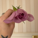 sinningonsundays avatar