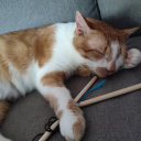 sinnvolltasche avatar