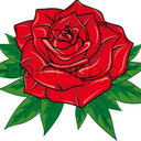 sinsual-explorations avatar