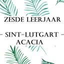 sint-lutgart6v2 avatar