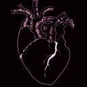 sinus-arrhythmia avatar