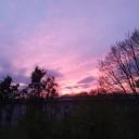 sinusoidal-being avatar