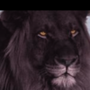 siobhan64blog avatar