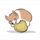 siomaistudies avatar