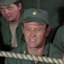 sipped-lapped-swilled avatar