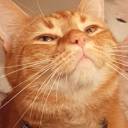 sippingmangojuice avatar