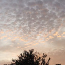 sippycupofihsanity avatar