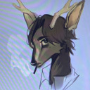 siqueira0912-blog avatar