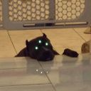 sir-lxxn-blog avatar