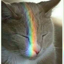 sir-someone-random avatar