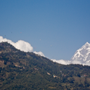 sirachamaloof avatar