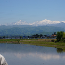 siratama-2-moon avatar