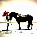 sirensofstyle avatar