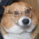 sirgoodtoaster avatar