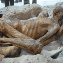 sirinali56-blog avatar