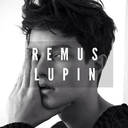 siriusftlupin avatar