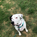 siriuslycloudy2 avatar