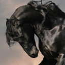 sirowsky-stories avatar