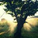 sirraxa-photo avatar