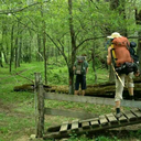 sirshiftshapes avatar