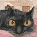 sirshitsalot12 avatar