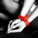 sirsoneprincess avatar