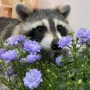 sirsupposealot avatar