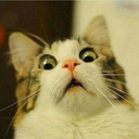 sirtarfingkle avatar