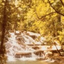 sissters-band avatar