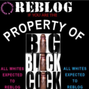 sissycharitysstuff avatar