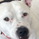 sissyemmasblog avatar