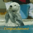 sissyindenial12 avatar