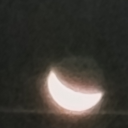 sissylifesworld avatar