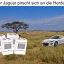 sissyslutjanina avatar