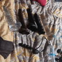 sissysluttobeowneds-blog avatar