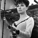 sissysouldyer avatar