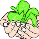 sistemahidroponicoreciclado avatar