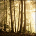 sister-socrates avatar