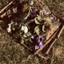 sister-winter73 avatar