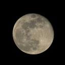 sister0fth3moon avatar