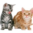 sisterjanetmead avatar