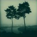 sisterluck-blog avatar